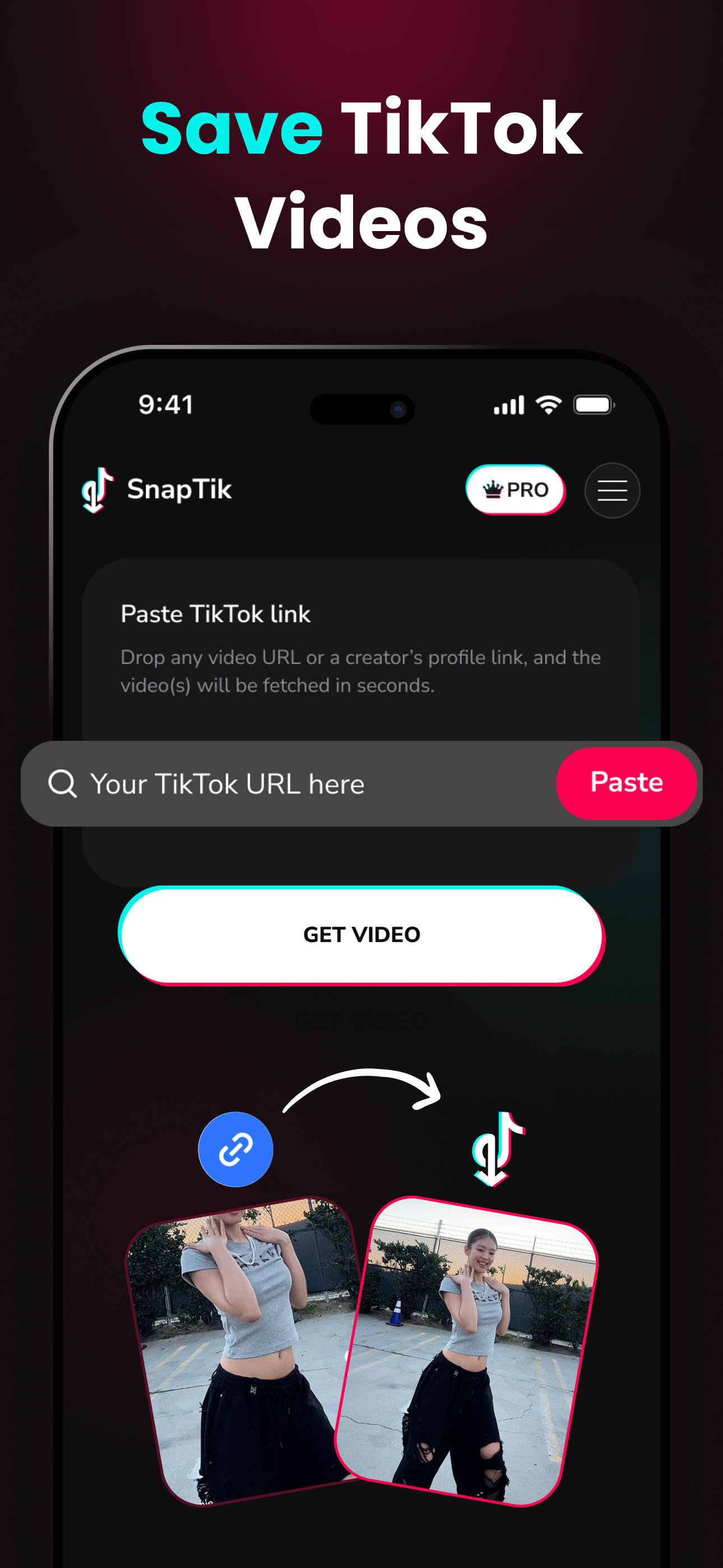 Tiktok Video Downloader